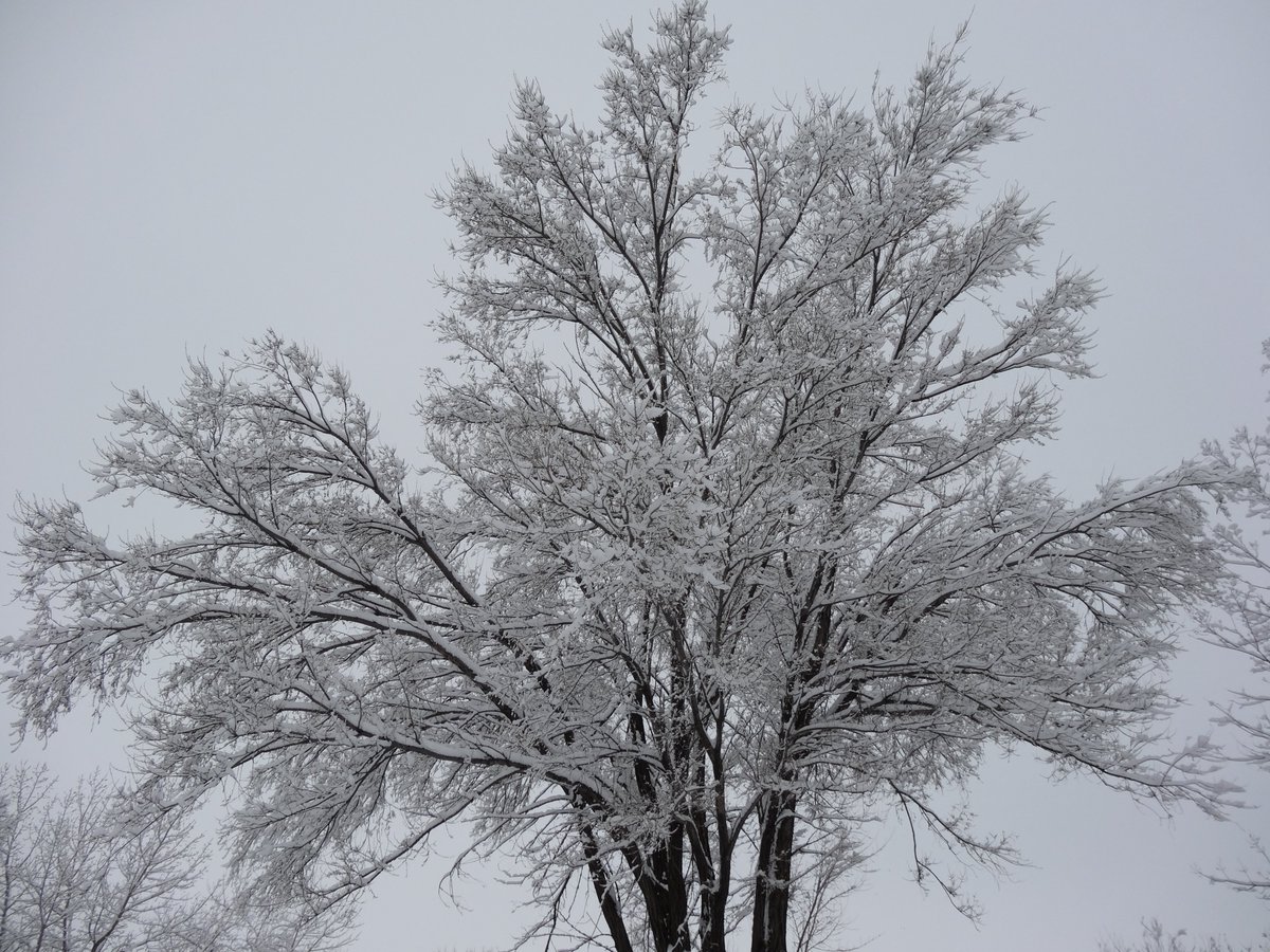 bouldercounty's tweet photo. Boulder County government offices are on a snow delay and will open at 10 a.m. Wednesday, May 6. The delay does not impact snow removal operations or 24/7 public safety. Visit https://t.co/DtG2rRriN6 for online services and hours. https://t.co/Lfmb4fj0tf