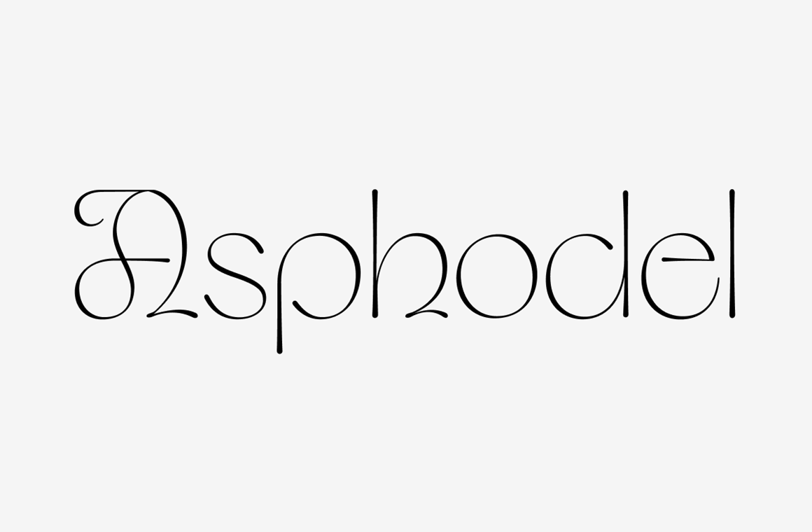 TypeCache.com tweet media