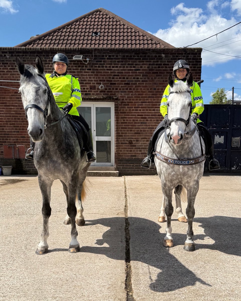 Mer Pol Mounted tweet media