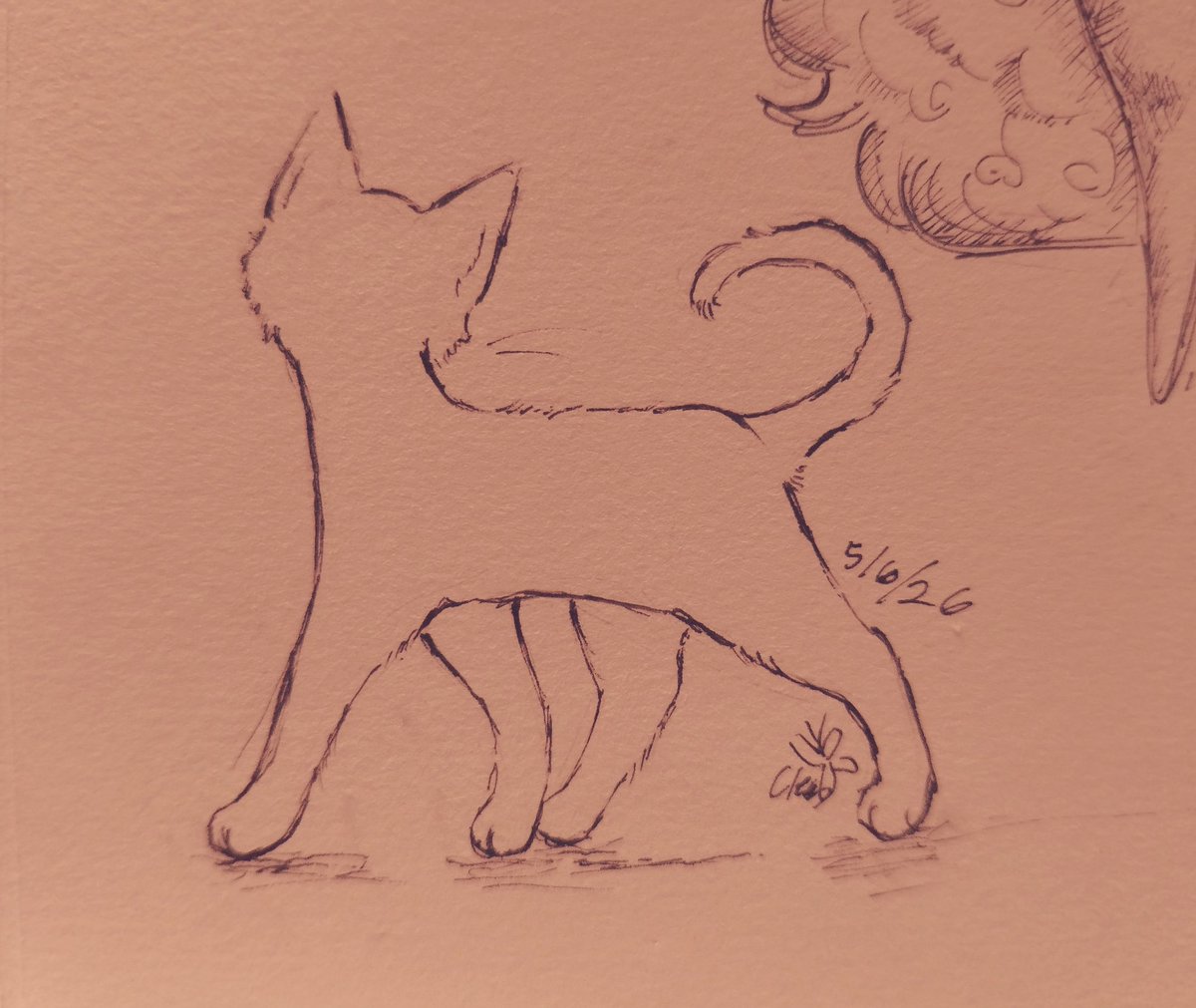 weaverofslumber's tweet photo. Drew a kitten earlier with lineart I'd see in a few childrens books I used to read https://t.co/VAnnytD6cq