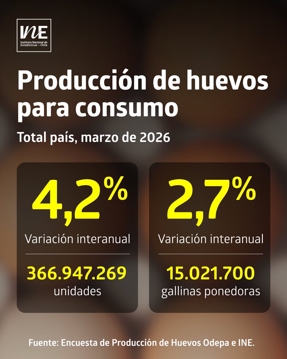 INE Chile tweet media