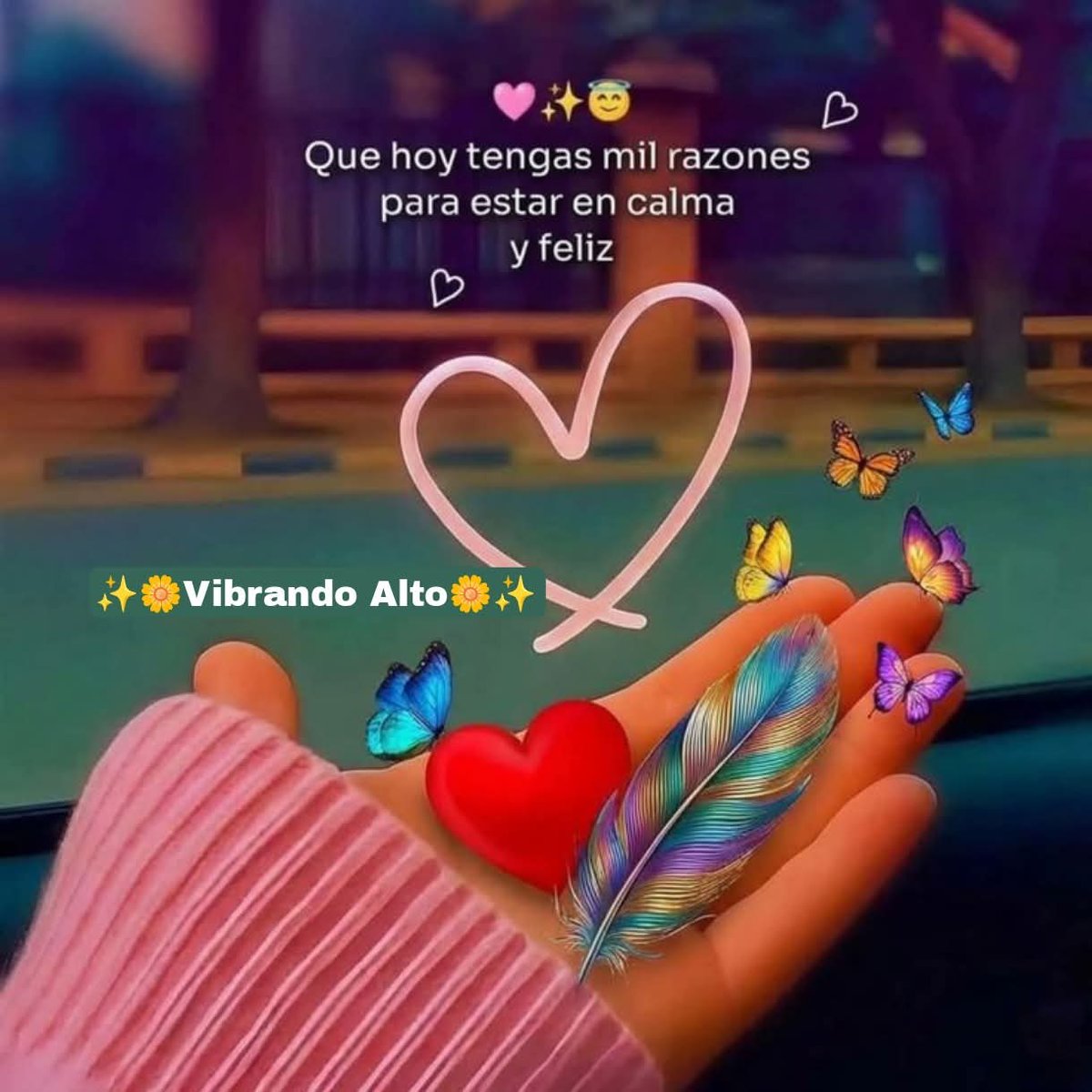 Maria Eva Pelussi💙💛💙 tweet media