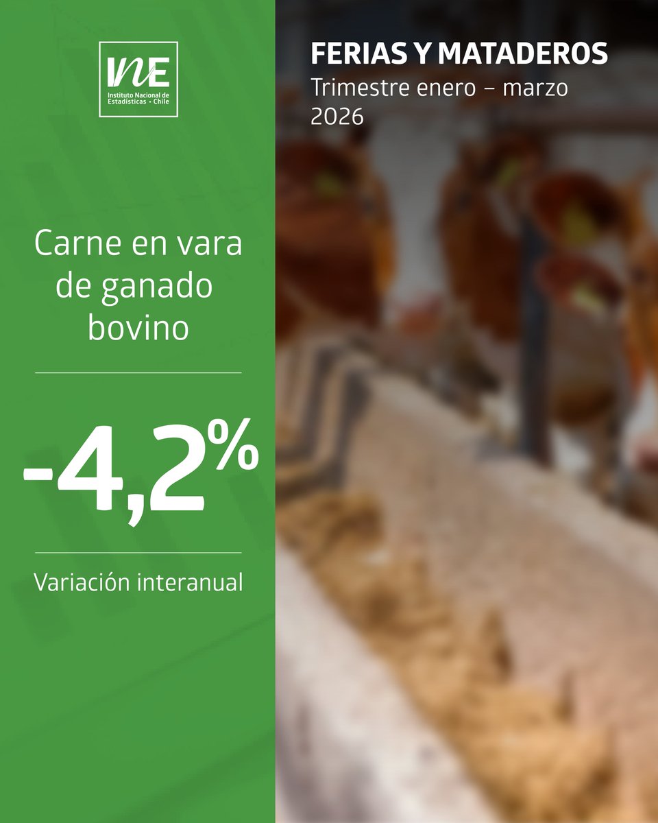 INE Chile tweet media