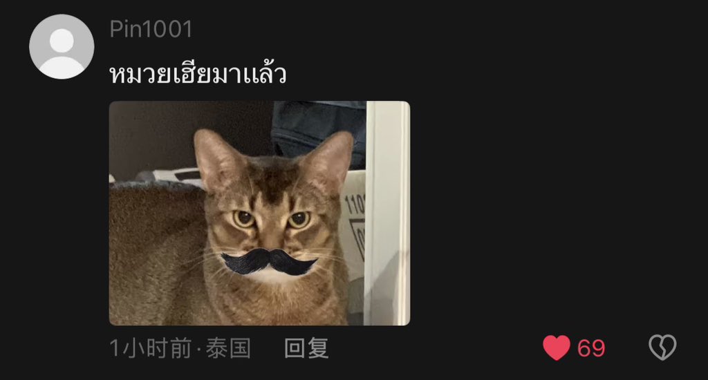 위치위싯 tweet media
