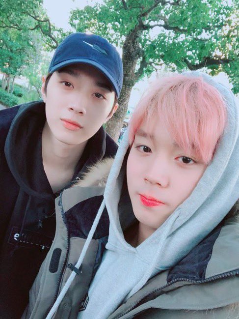 판윙 아카이브 tweet media