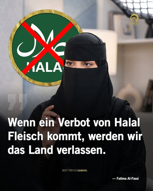 Iggy's Welt- youtube NGO Experte🏴‍☠️ tweet media