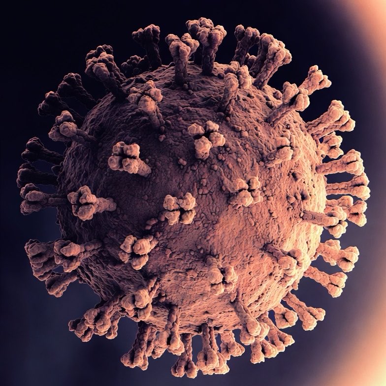YourAnonOne's tweet photo. #BREAKING: 🇨🇭Switzerland reports hantavirus case in man who recently traveled on Hondius cruise ship. https://t.co/8wp7jUShlo