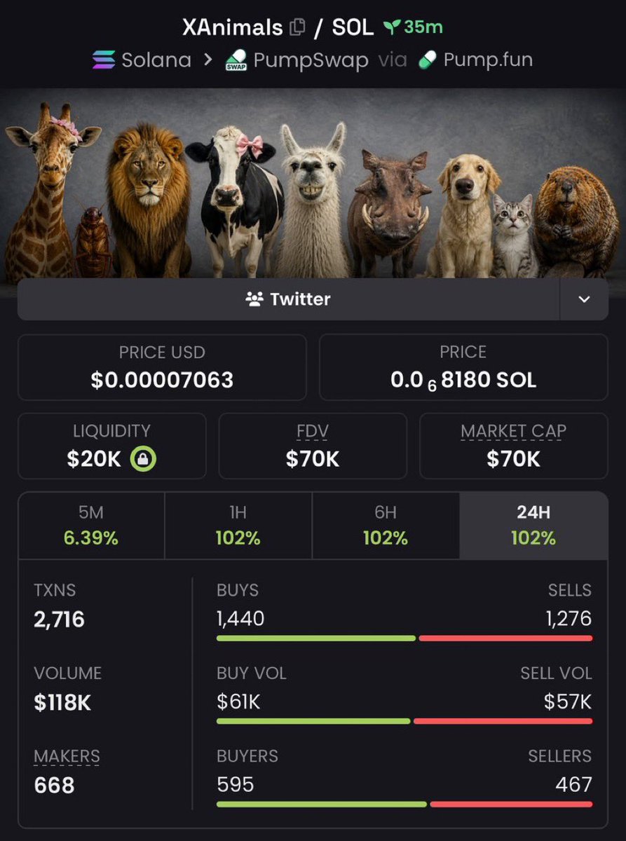 1000X SOL INSIGHTS tweet media