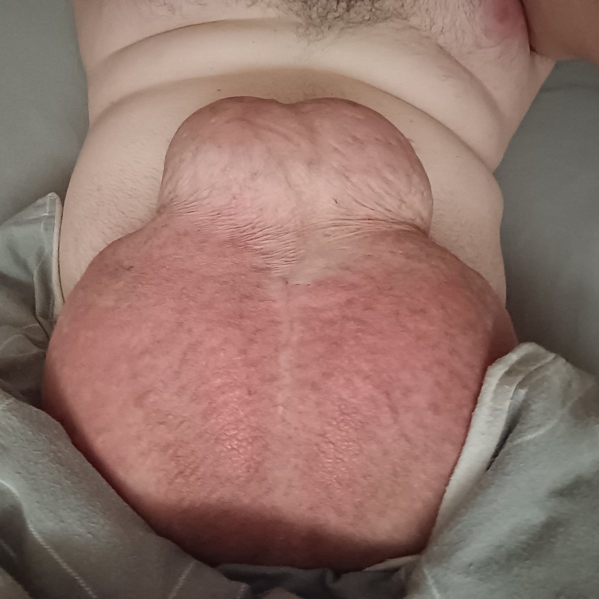 tryst_cat's tweet photo. A short dick doesn't always mean a small dick (April 2022) https://t.co/01mJhSUtnl