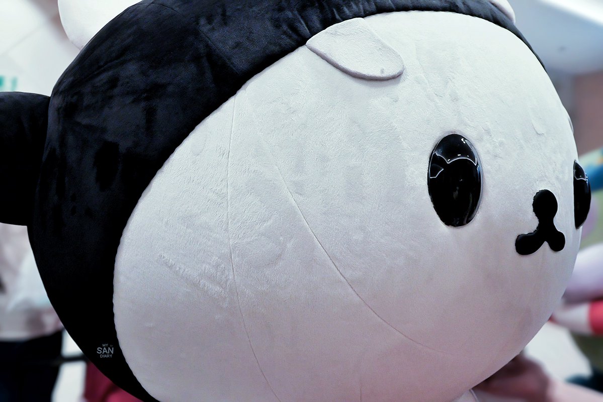 ₊°｡❆ ｍｙＳＡＮｄｉａｒｙ ❆｡°₊ tweet media