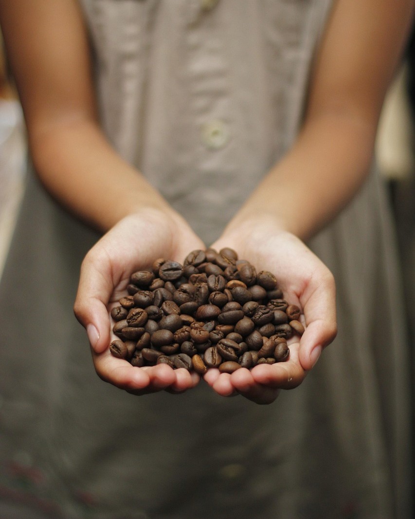 Sprout Coffee Co Chi tweet media