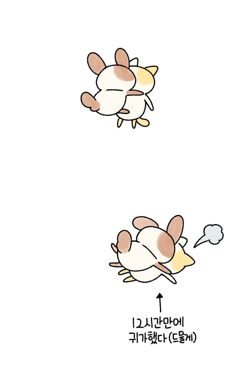 묘냥이와 멍구 tweet media