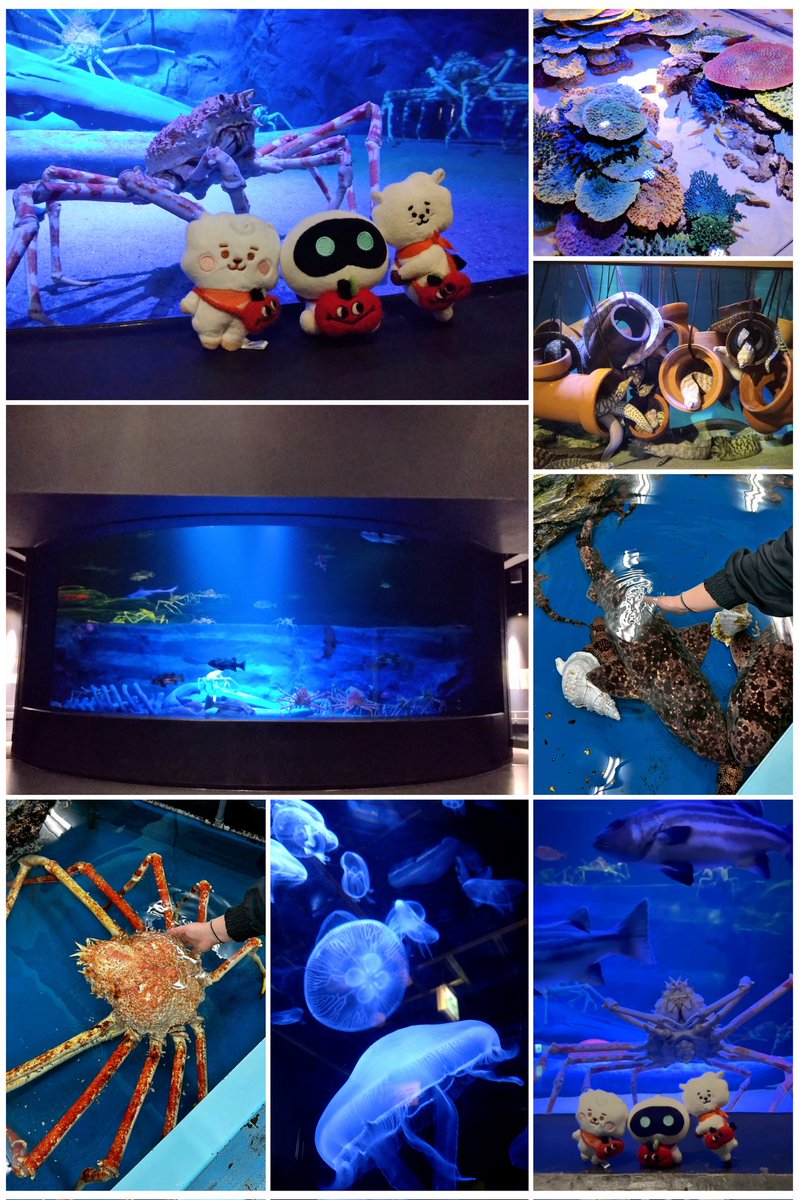 かわい子ちゃんと🐹友との、GW最終日のお出かけ先は水族館🫧
深海生物多めの展示もなかなかクセ強で面白かった🪼🪸
カニやサメにも触れる体験ゾーンもあったから張り切って触ってきた😆
サメの背中とお腹の感触が違いすぎてビックリ😅
楽しい最終日になりました。
明日からまたがんばろう！