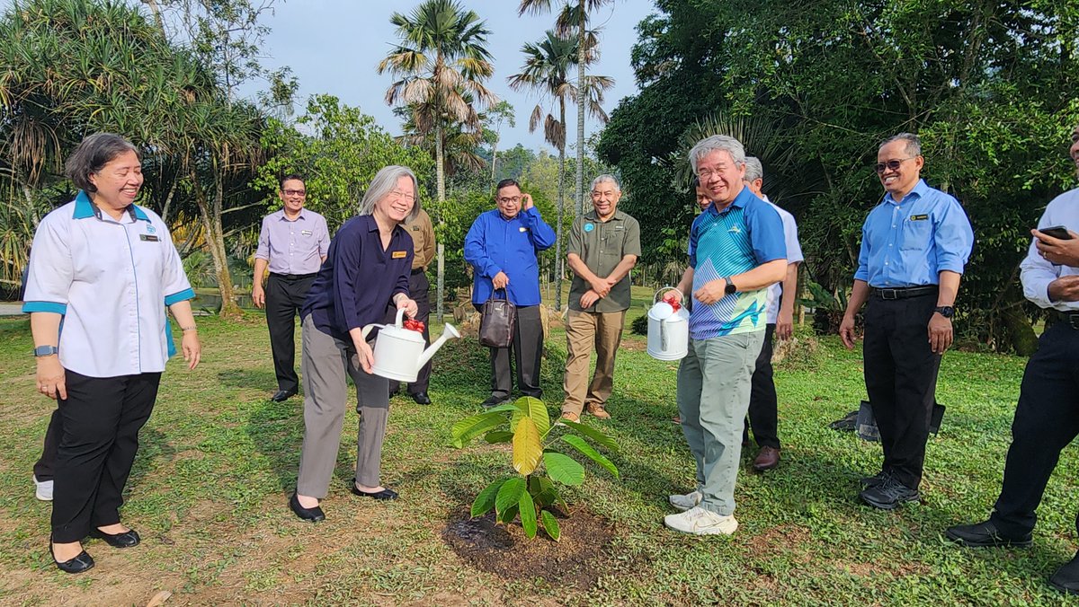 FRIMKepong's tweet photo. 📅6/5
🌿 Dr Lee Soon Leong menandakan persaraan dengan menanam meranti daun besar (𝘙𝘶𝘣𝘳𝘰𝘴𝘩𝘰𝘳𝘦𝘢 𝘩𝘦𝘮𝘴𝘭𝘦𝘺𝘢𝘯𝘢), species 'Critically Endangered' di KBG, @FRIMKepong sempena persaraan beliau.

#FRIMConservesBioD #FRIM_BioD #FRIMTanamPokok #TreePlantingFRIM https://t.co/76h7mv52nA