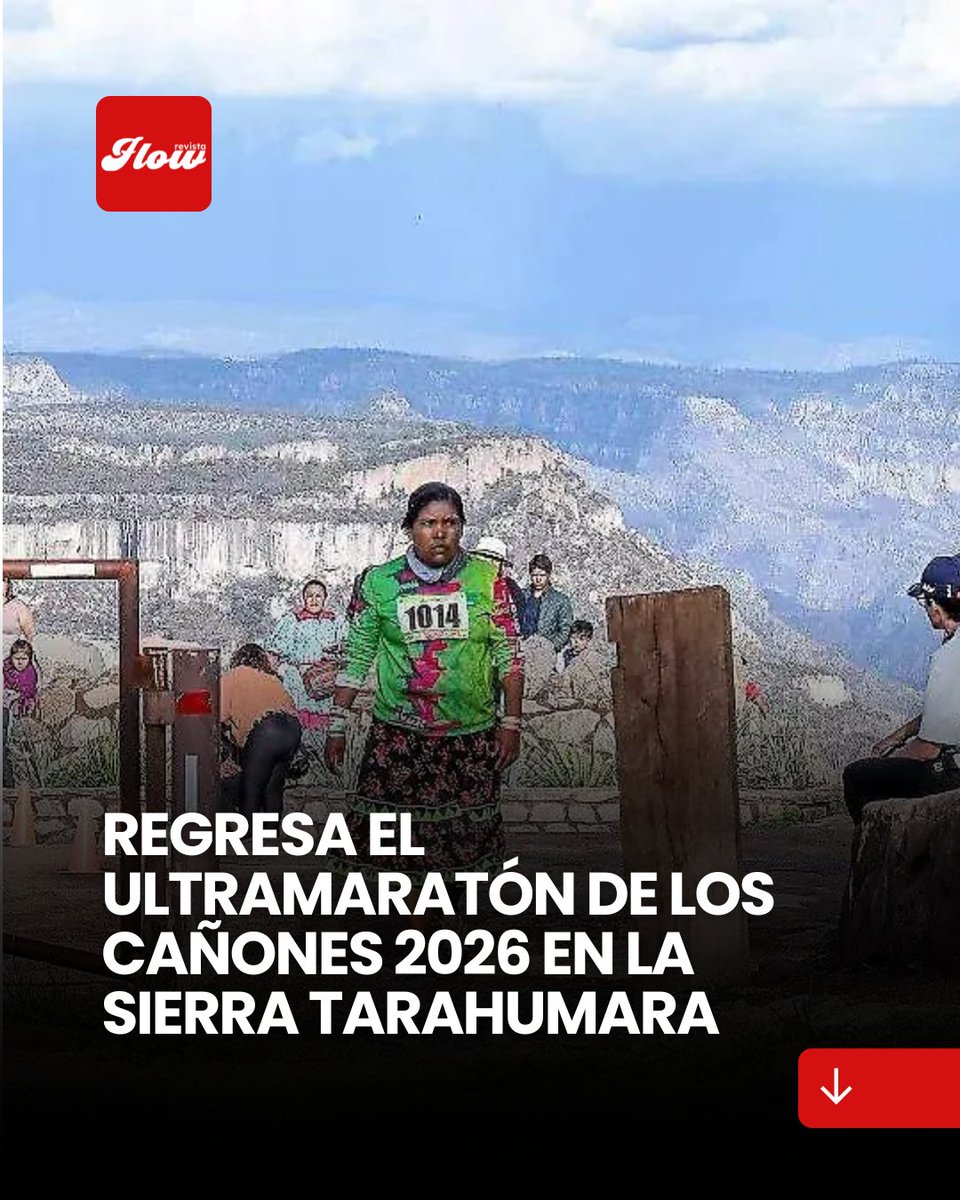 Revista Flow tweet media