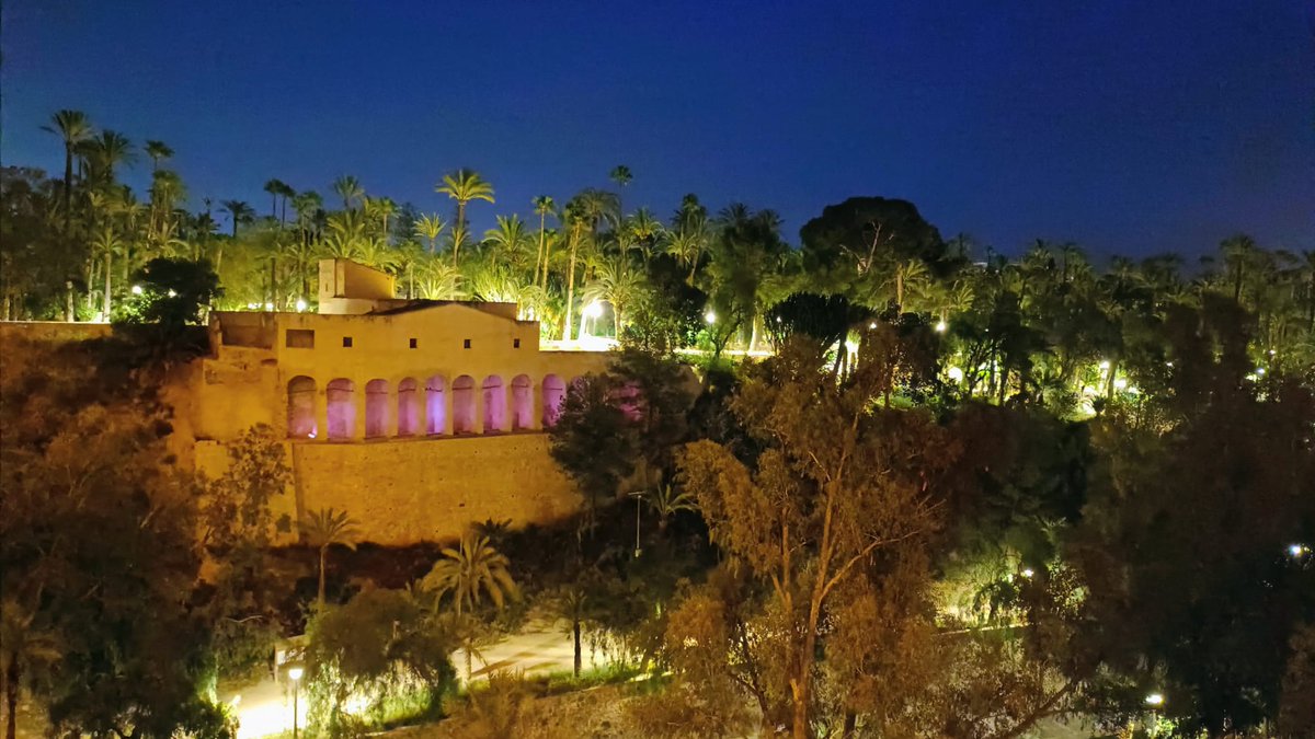Asociación Valenciana de Enfermedad de Huntington tweet media