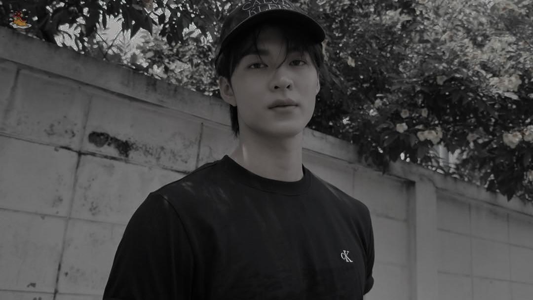 SOC-IE 💛 ˚☽˚.⋆ tweet media