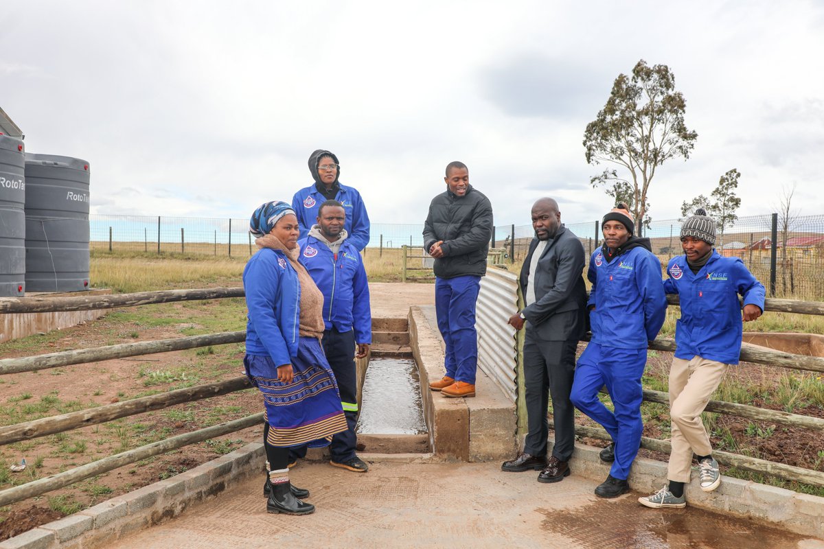 National Skills Fund ZA tweet media