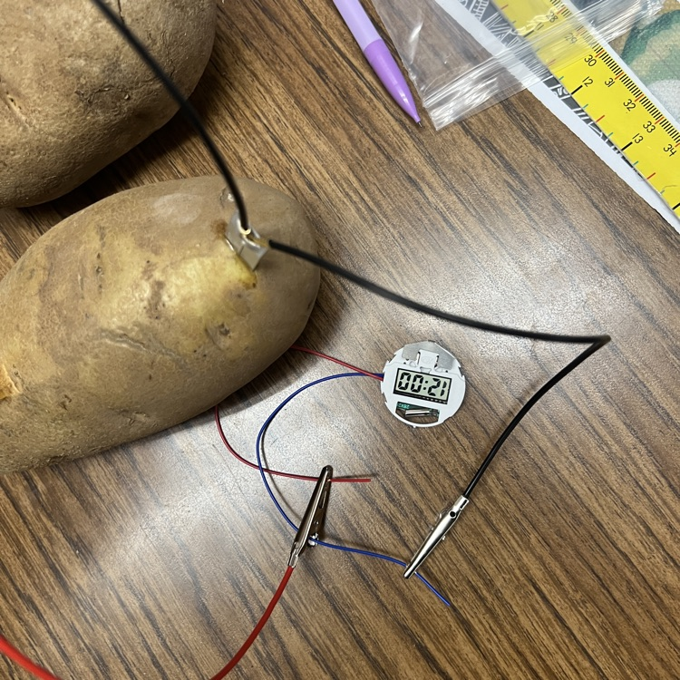VG302's tweet photo. Sixth grade made potato batteries with Ag in the Classroom. They will leave them connected to see how long the clock stays powered on! ⏰🥔
This was a great connection to their energy unit in Science class. Thank you Ag in the Class for such fun activities! https://t.co/tg4Ddd0bCT