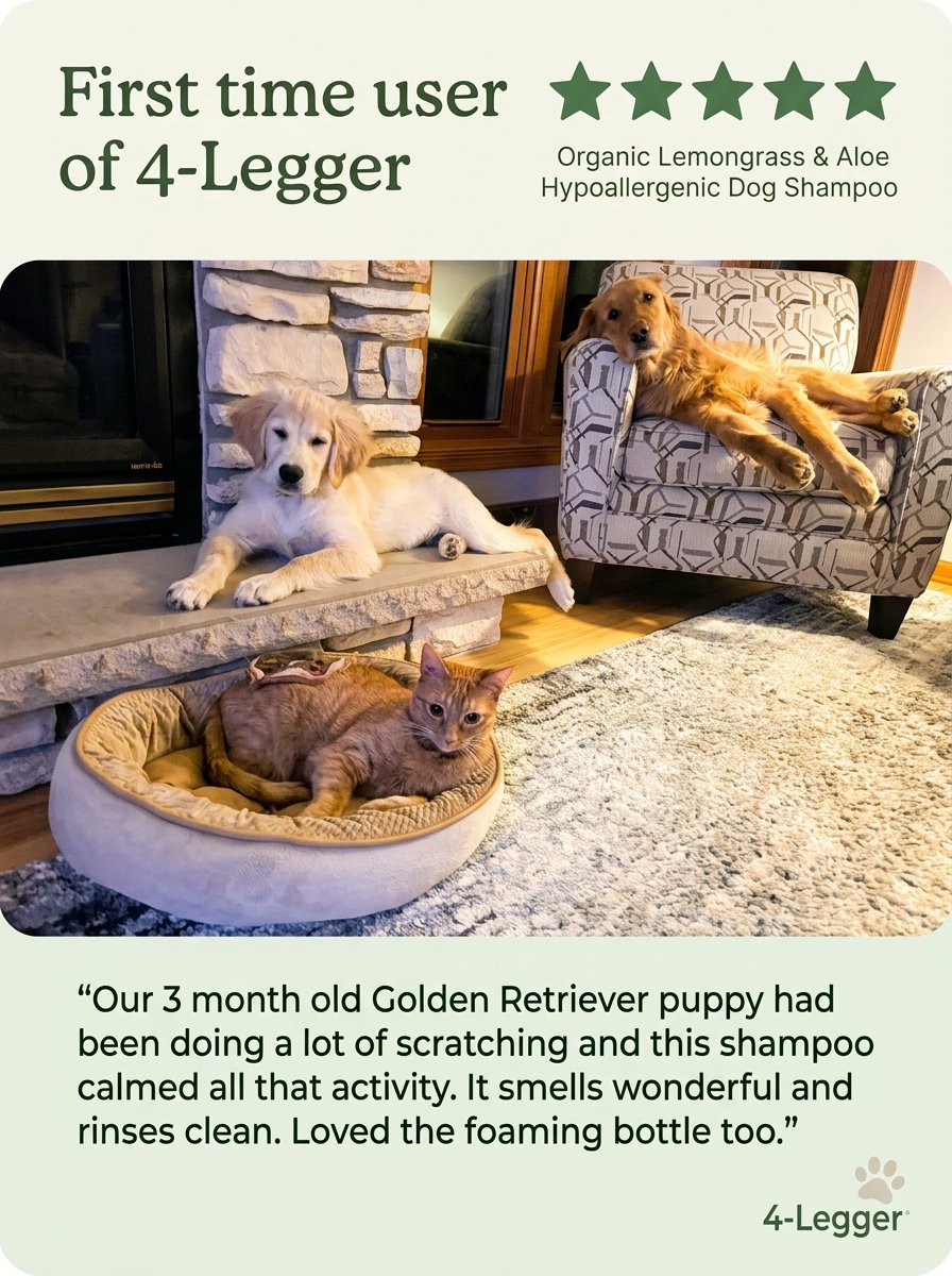4_Legger's tweet photo. We love seeing our happy customers relaxing after an itch‑free bath. 🛁🐶
“Our 3‑month‑old Golden had been doing a lot of scratching and this shampoo calmed all that activity. It smells wonderful and rinses clean.” 

https://t.co/A5AjvpwS4r https://t.co/j2kmMM1UQl