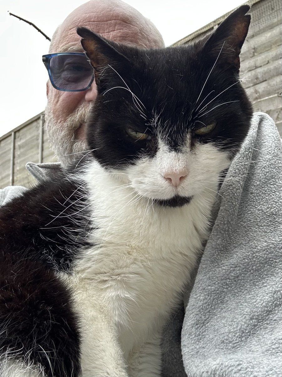 D.V. Catt tweet media
