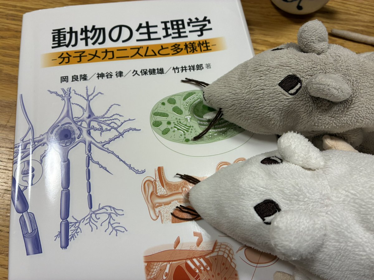 授業準備中。 動物生理学は、本当におもしろいですね。