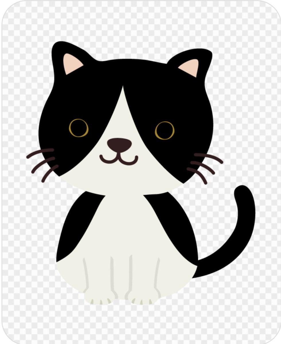 Haru-nyanでふ〜 😻猫好きオヂサン👨‍🦱でふニャン𓃰⋆⋆ꔛ♥ tweet media