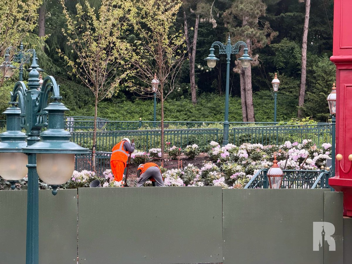 DLP Report tweet media