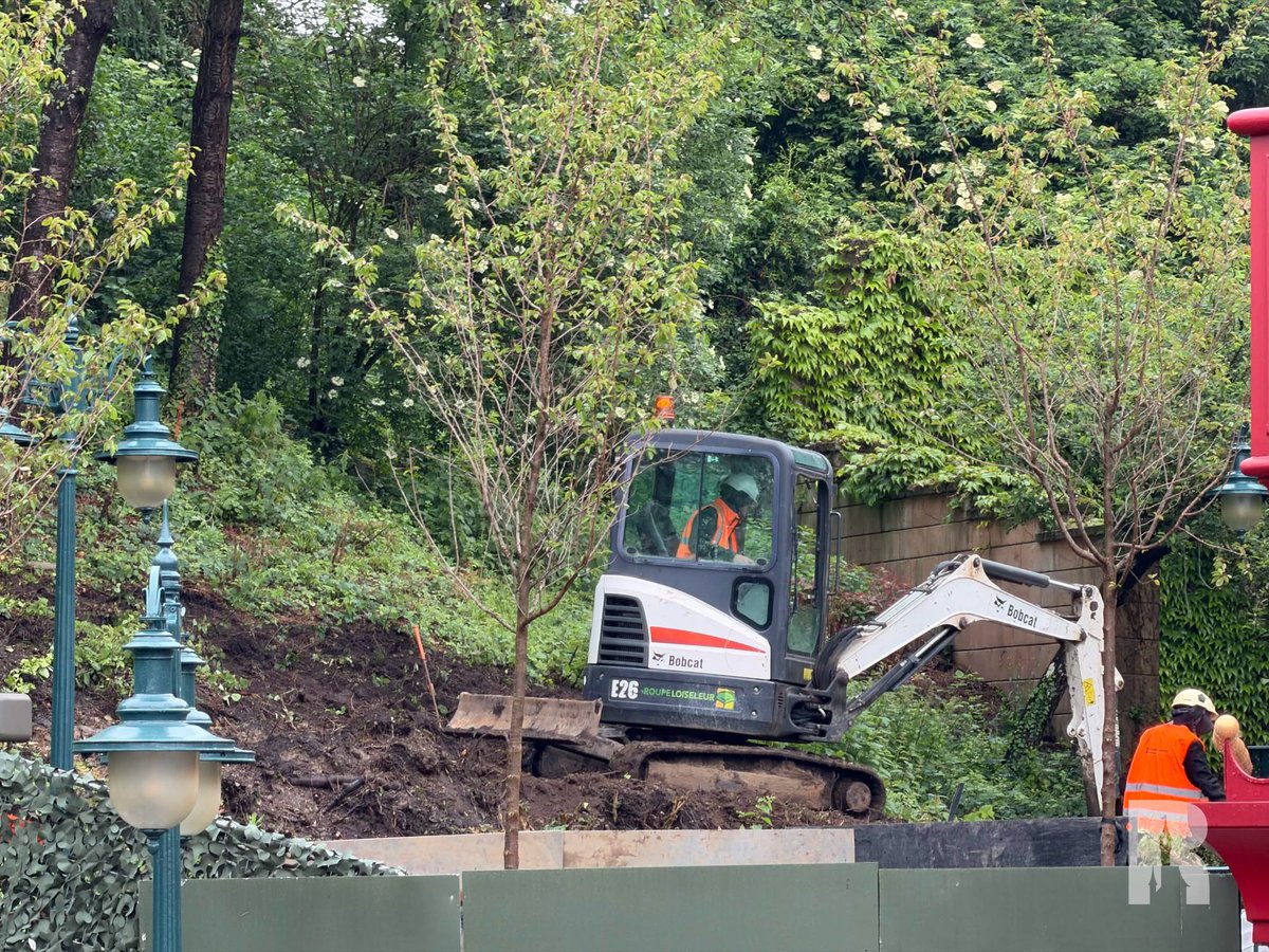 DLP Report tweet media