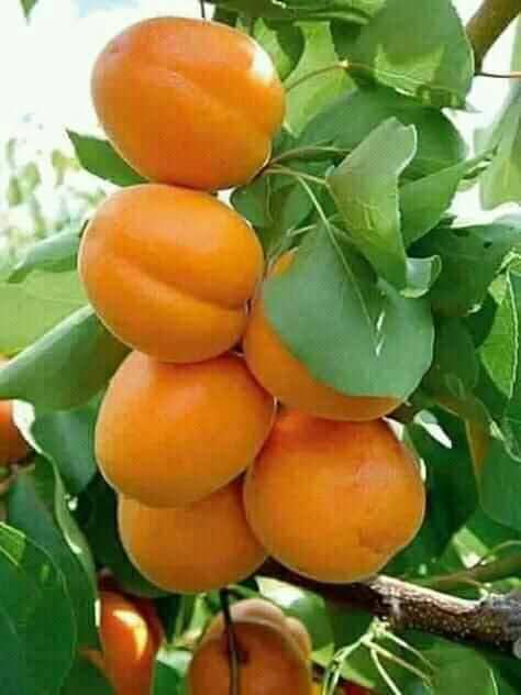 GoLS90073584's tweet photo. @gulcansonmezz Nice look https://t.co/cE6ZVRP96v
