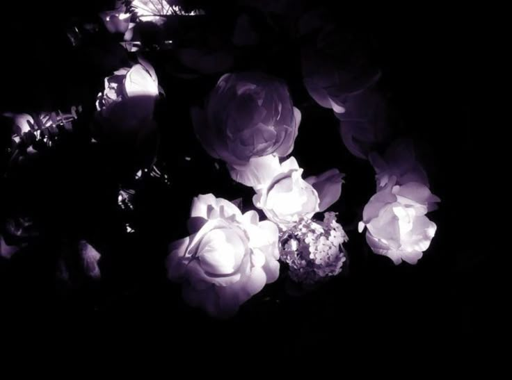 𑣲┆ℳ𝒂𝒍𝒆𝒏 𝒅𝒓𝒂𝒄𝒐𝒏𝒊𝒂˚.⋆ֹ tweet media
