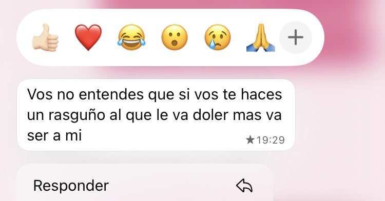 lucia rodriguez tweet media