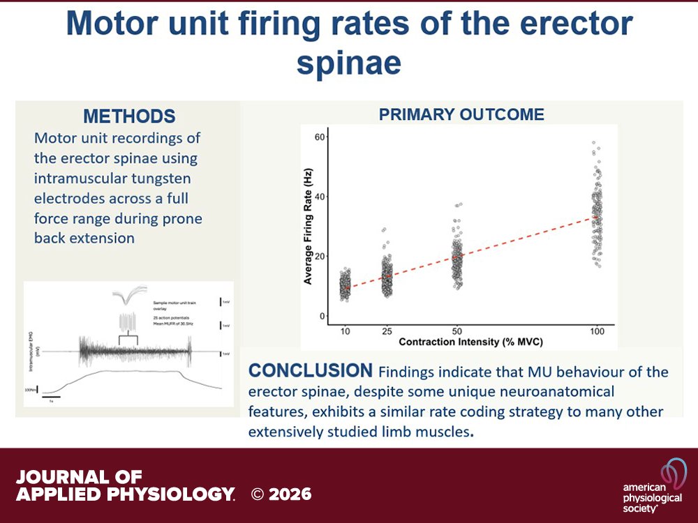 japplphysiol's tweet photo. Research Article by PJ Travis et al. (@WesternU) Characterizing #motorunit firing rates in the human #erectorspinae
https://t.co/PTANmt3v5x https://t.co/BwbUZxXxh8
