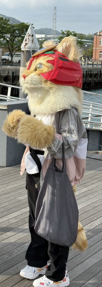しゃみ☆W→FORCE tweet media