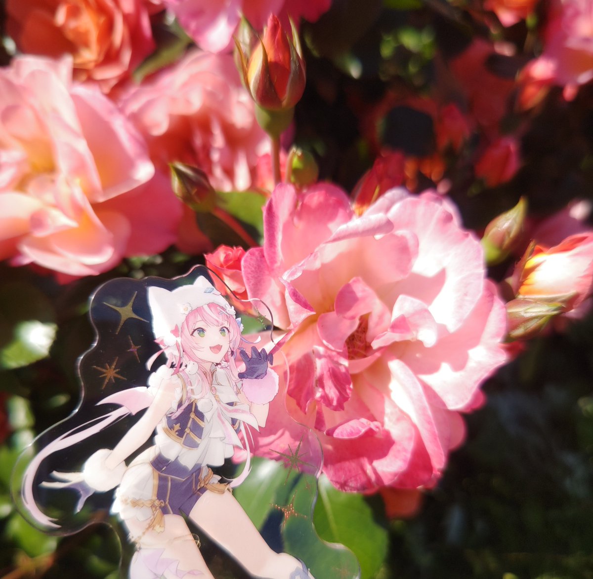 totototooon's tweet photo. 魔王さまとバラ見てきたよ～！！！ https://t.co/mltGmERwsv