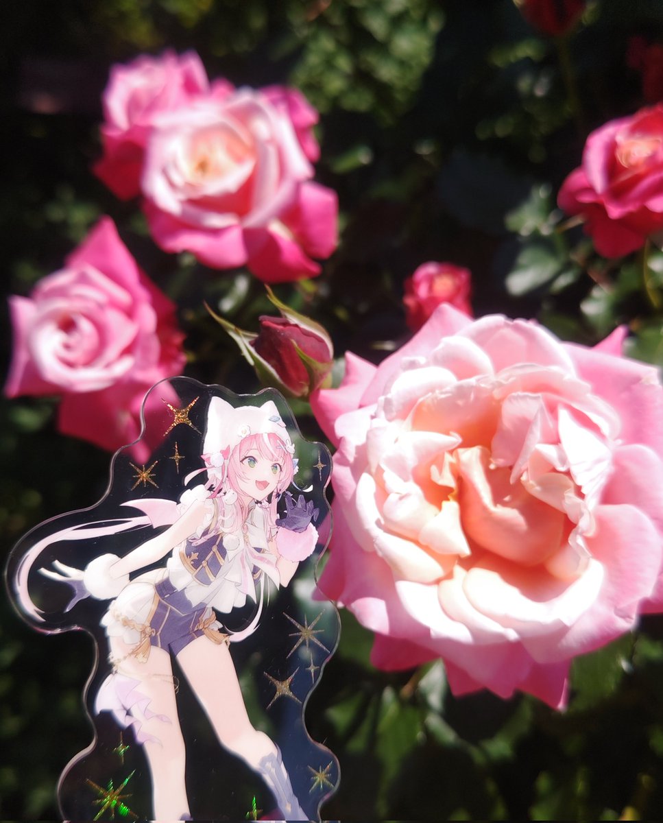 totototooon's tweet photo. 魔王さまとバラ見てきたよ～！！！ https://t.co/mltGmERwsv