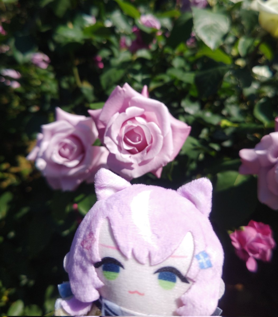 totototooon's tweet photo. 魔王さまとバラ見てきたよ～！！！ https://t.co/mltGmERwsv