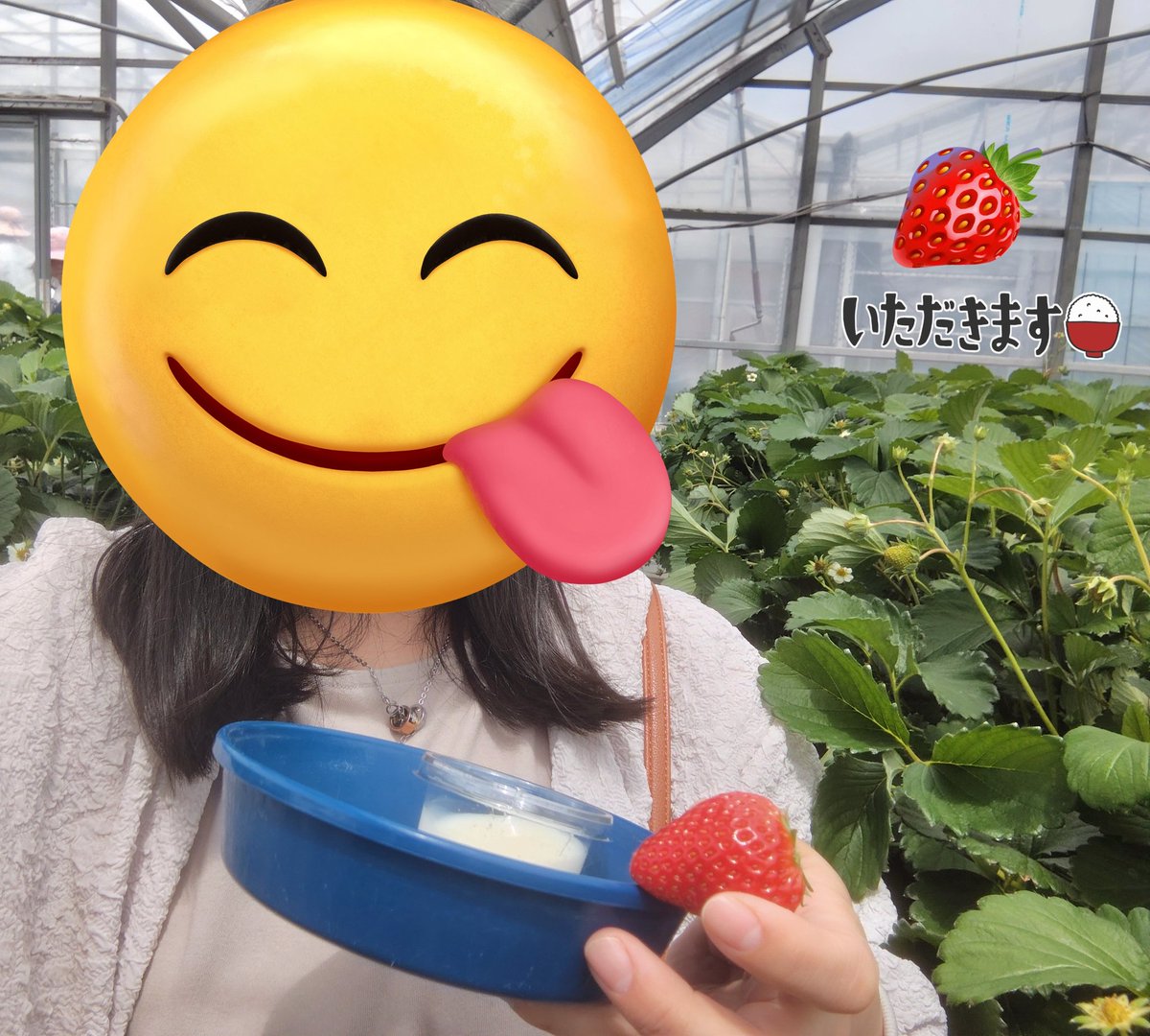 8dos3's tweet photo. GWあと1日かぁ…
相方さんと旅行して、BBQして、友達と昼飲みして、今日は相方さんとイチゴ狩りして🍓
今年は、予定盛り沢山だったー！
楽しかった🤣 https://t.co/e171VkNdQb