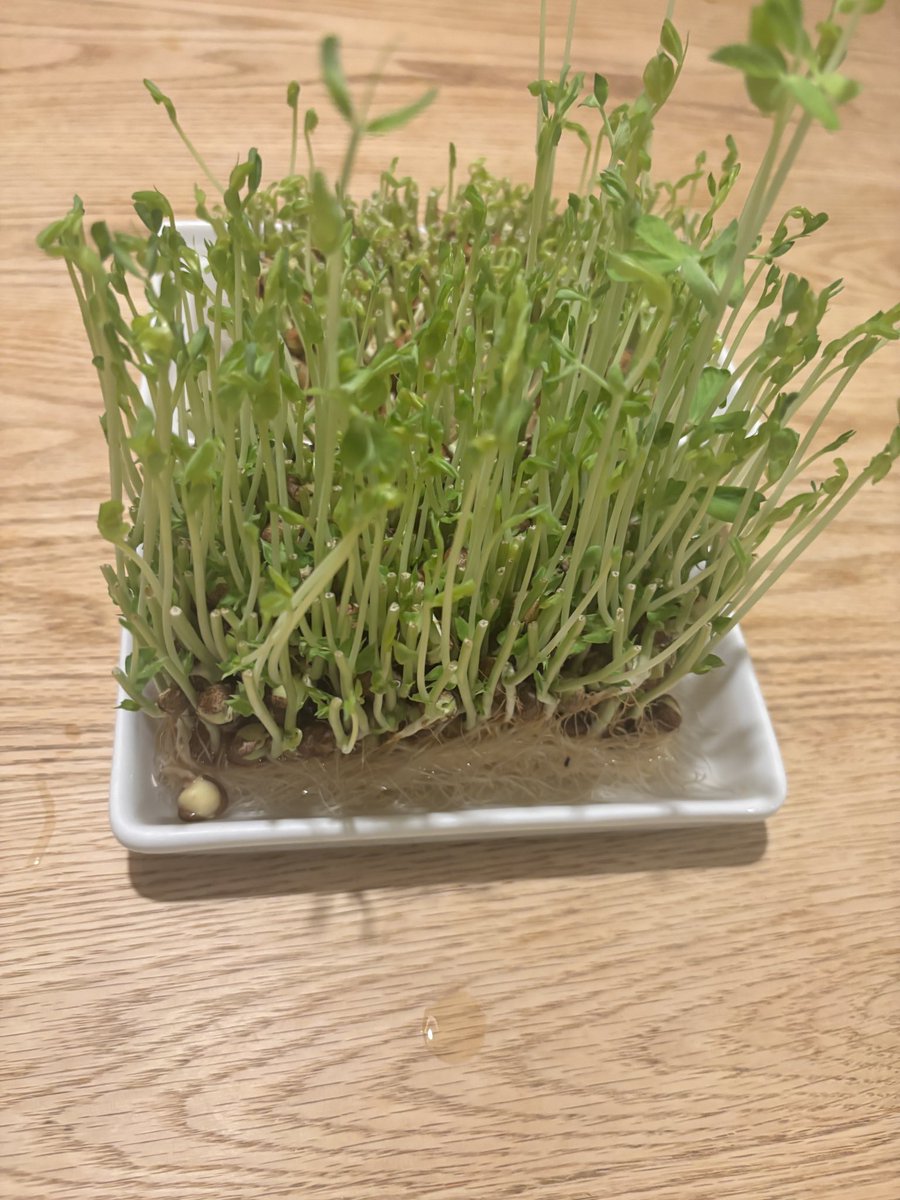 調子良くなってきた❤︎サンキュっ。