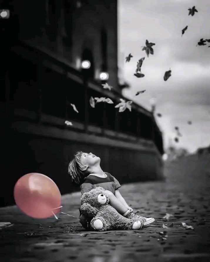 اشرف غنيم tweet media