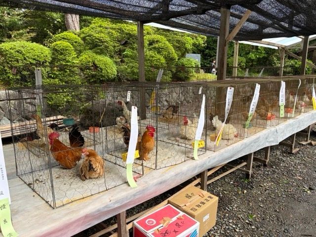 長浜洋二＠新著『公務員のためのマーケティング講座』 tweet media