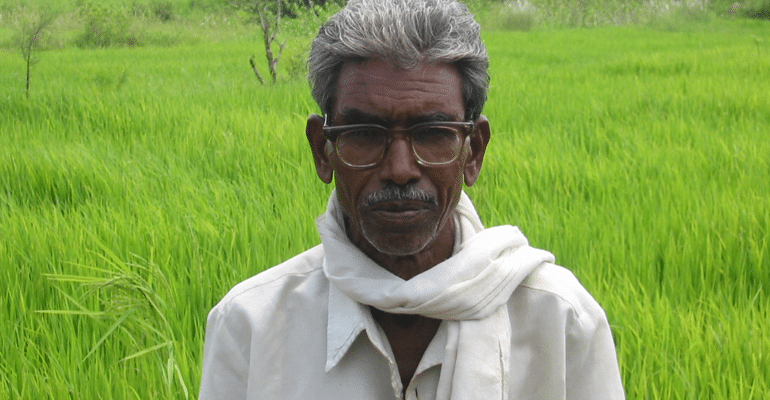 1 man found 3 yellow grains in the mud &amp; spent 5 yrs protecting them from wild pigs. A trader named the result after his favorite watch brand to prove its quality, while a university stole the seeds to claim the credit. He fed millions, but worked as a daily wage laborer on his
