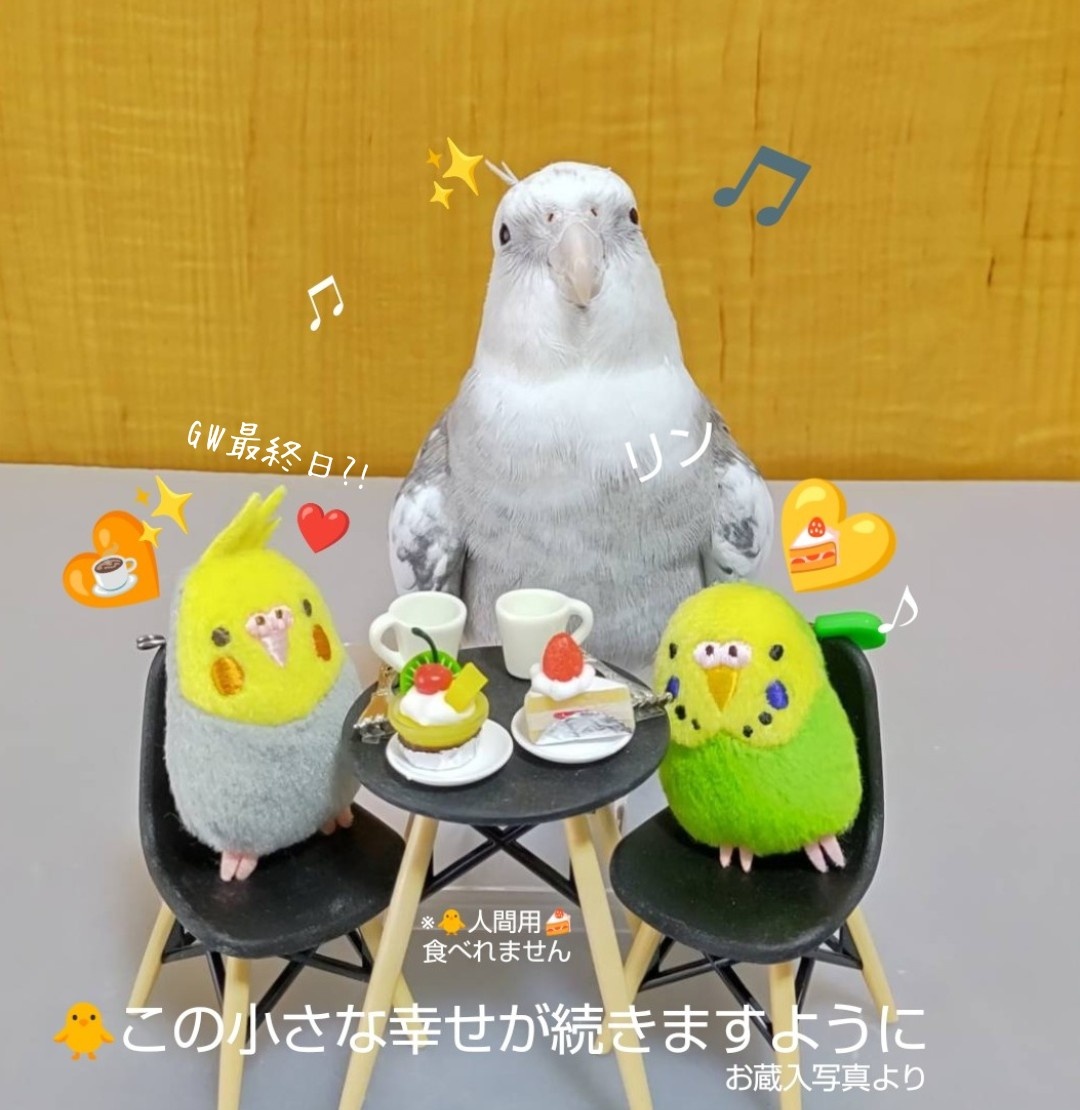 おやすみなさい🍰🐥☕️✨
【※明日Xお休みｼﾏｽ💦】