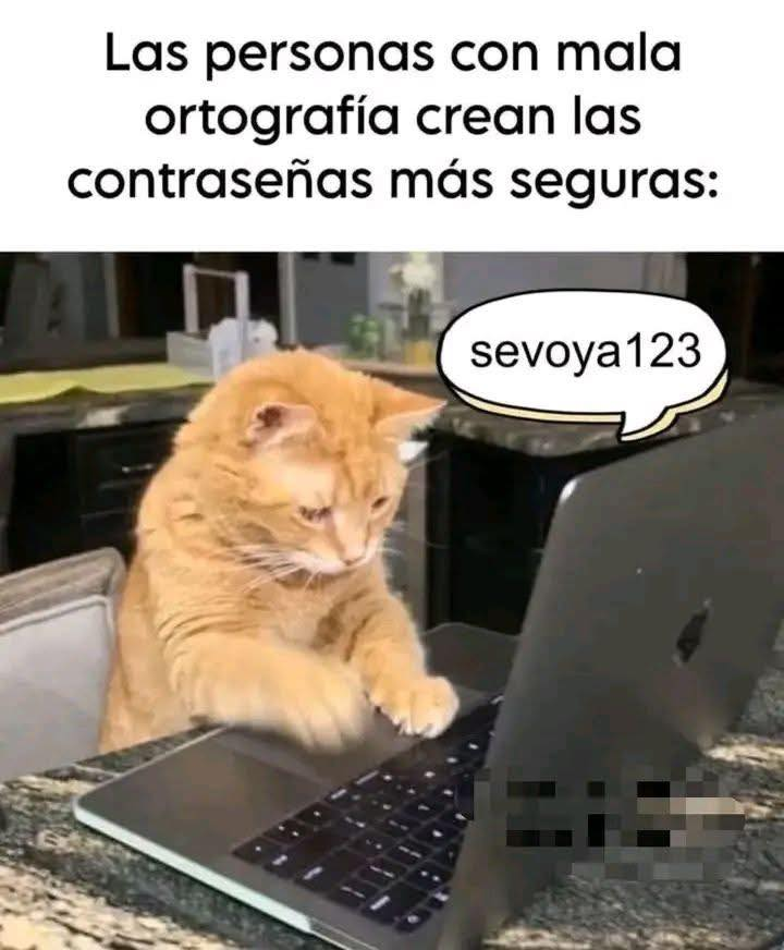 Rincón Curioso tweet media