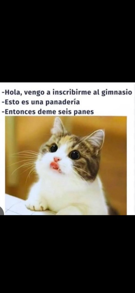 Soy La Puta Ama tweet media