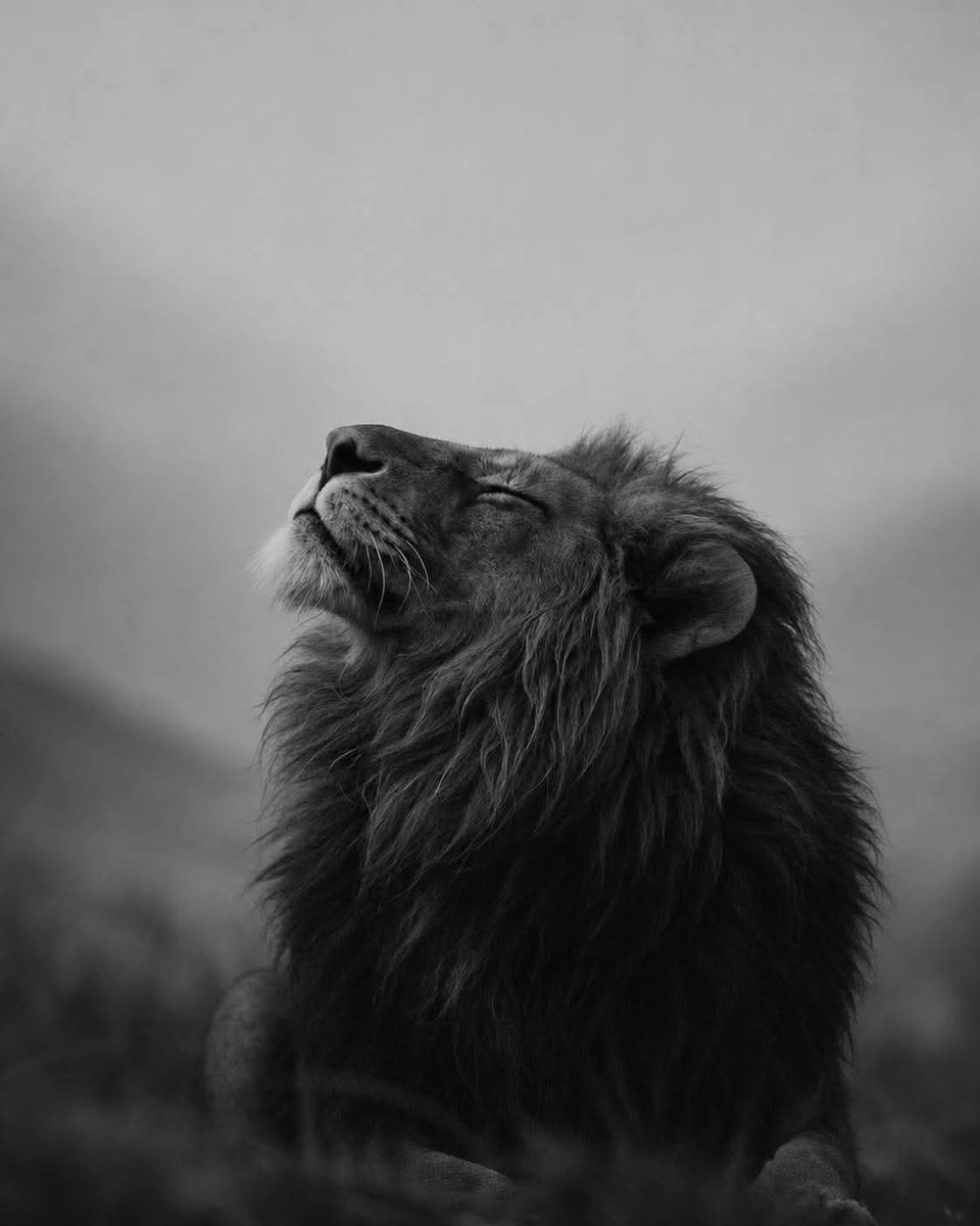 theseerheals's tweet photo. Thokozani 🙏🏾📿

1.) Your ancestors do not lie. They reveal, they guide, they correct. When they speak, listen with a clean heart.
2.) Madoda, be careful with promises. Do not promise a woman marriage when you know your path is unclear. Do not promise to leave your wife when you have no intention to do so. Broken promises carry spiritual weight. Some hearts, when deeply hurt, turn dark  and anger can invite harmful forces. Walk in truth.
3.) If there has been suicide in the family, do not ignore it. That spirit of pain can repeat itself. Pray, cleanse, and break that cycle with intention and spiritual work.
4.) Lust is not just physical  it is spiritual. Be careful who you connect with intimately. Lust can open doors to spirits you did not invite.
5.) Respect spiritual knowledge. Even as healers and believers, we do not know everything. Research, learn, and stay humble. Remember  ancestors are not the same, and each lineage has its own ways.
6.) In relationships, unfinished lobola can create spiritual blockages. Some ancestors will not fully open doors until things are done the right way.
7.) Consulting too much can confuse your spirit. Running from healer to healer causes misalignment. Stay grounded. Know your path.
8.) Couples, a home cannot be built on muthi alone. A strong home needs love, respect, honesty, and spiritual balance not shortcuts.
9.) Be careful what you bring into your home. Not all muthi is safe, especially around children. Protect the energy of your household.
10.) Married couples should walk the spiritual journey together. When you consult, stand united  not divided.

Stay rooted. Stay guided. Stay protected. 🕯️🙏🏾

Chosi Camagu Gogo Sifiso 🕯️ 
The Medium 📿