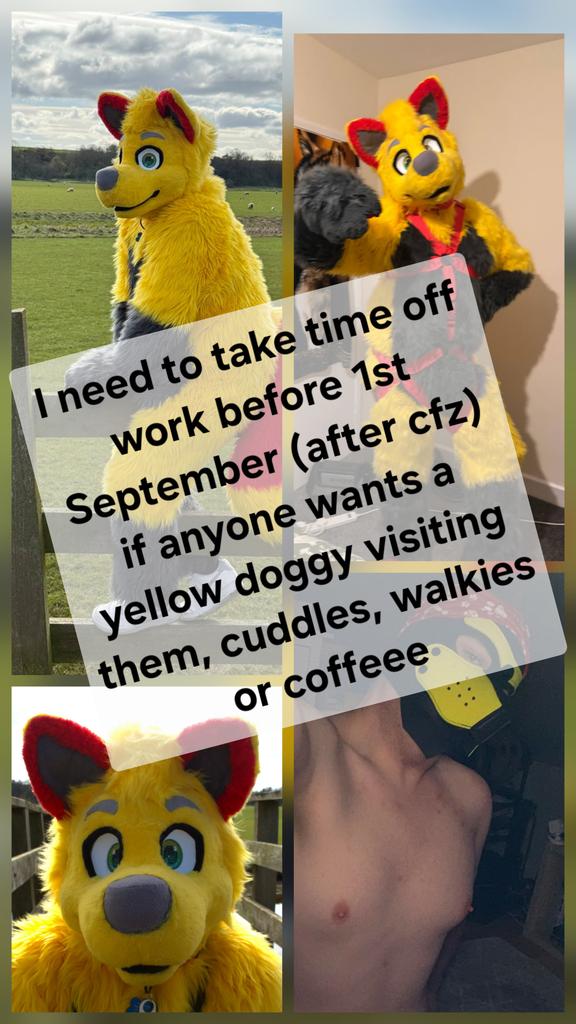 YellowFluffDog's tweet photo. I need to take time of work before 1st September but don't want to waste if if anyone wants a yellow doggy to see them.

I'd also appreciate on a personal level as June / July will be a tough period as it will be a year since everything changed. https://t.co/oiBsQehdUV