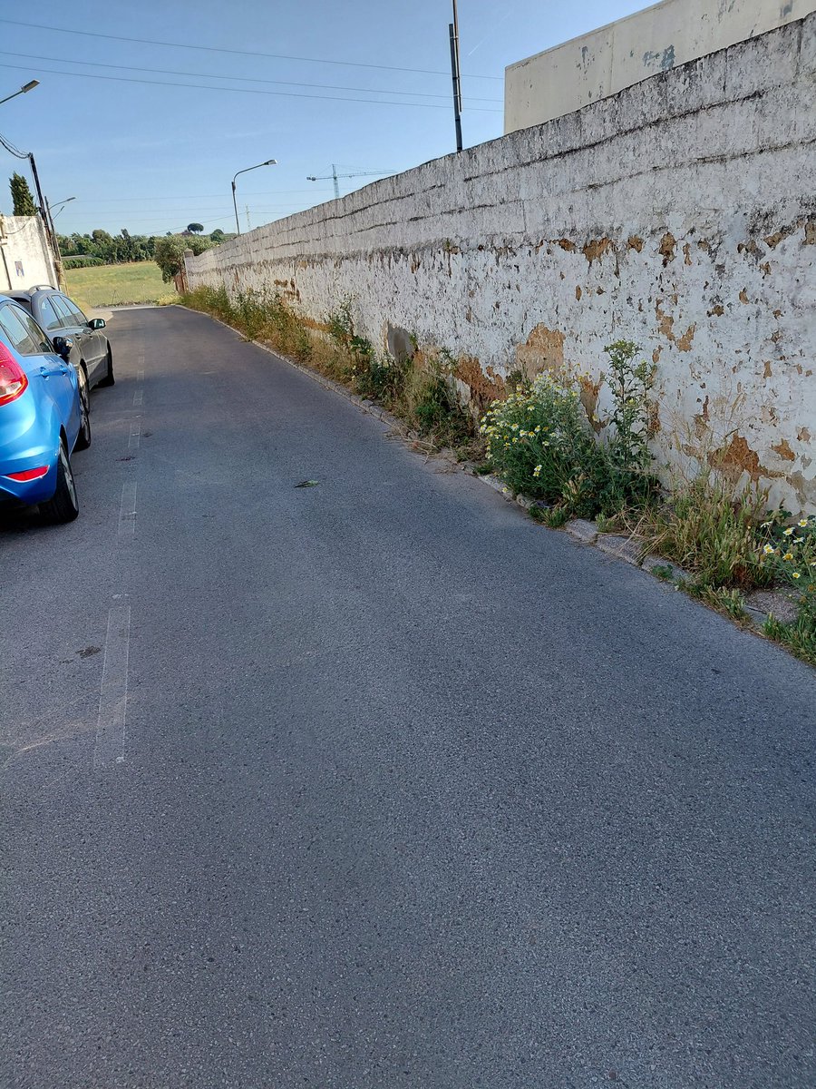 Sanchezpaji's tweet photo. @AytoMairenalcor Calle Asunción https://t.co/VnwLq3pBac