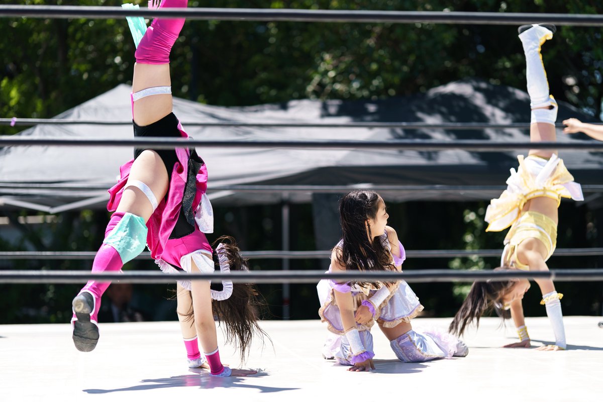 ＴＯＫＩＦＵＪＩ tweet media