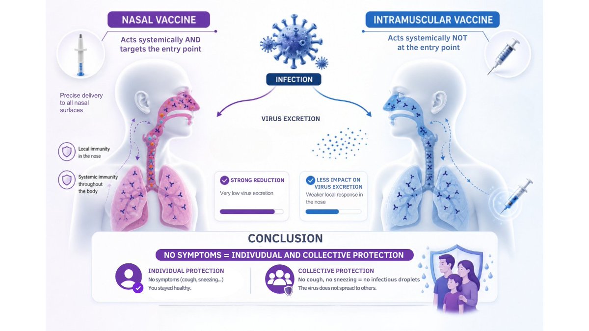 lovaltech's tweet photo. By stimulating their production right at the virus’s point of entry, Lovaltech aims to block transmission from the very first contact. No entry, no infection! 🚫🦠

#Lovaltech #Immunology #IgA #Innovation #Health https://t.co/SQfb1F8OO2